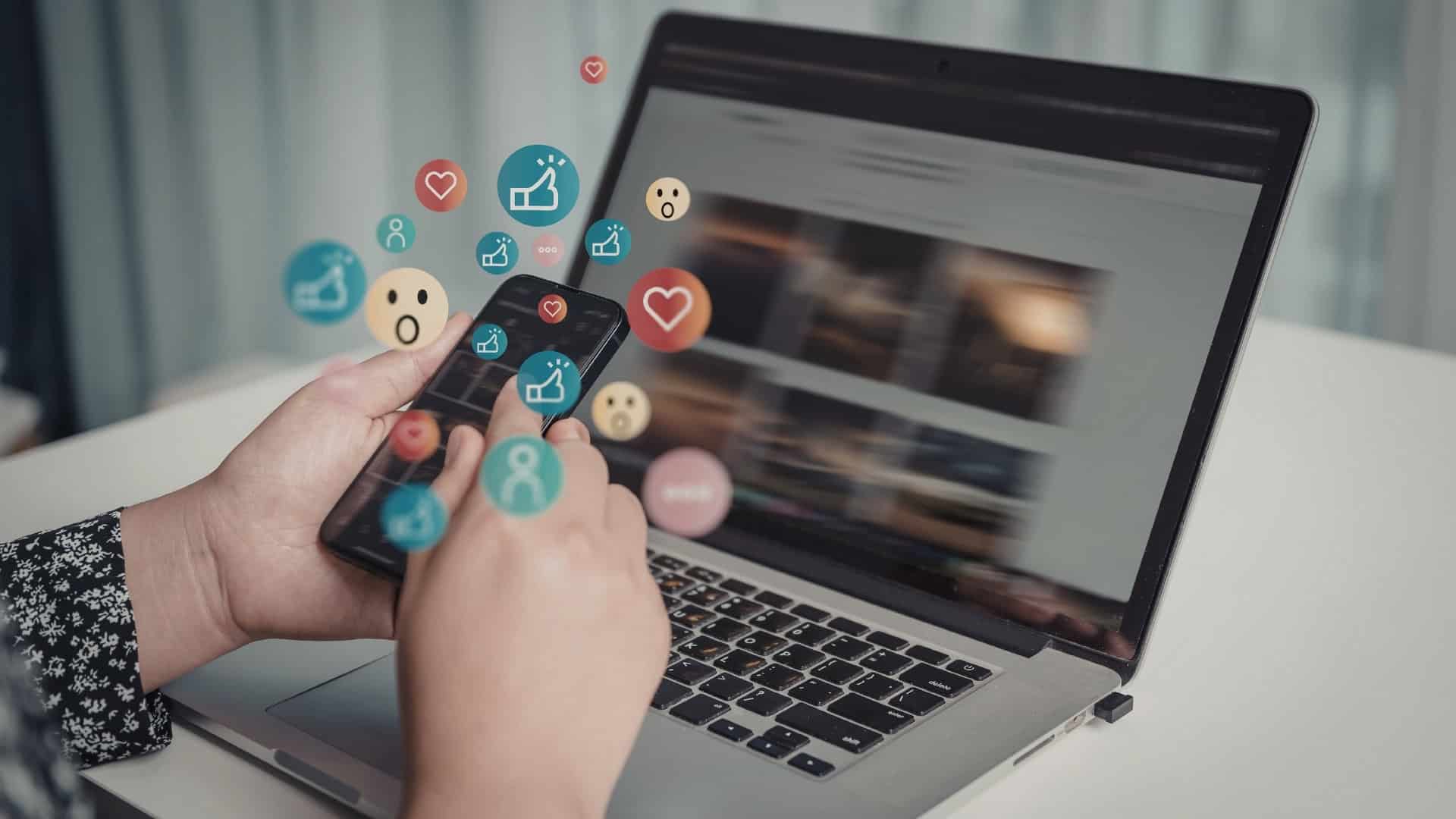 bursa web tasarim seo sosyal medya yonetimi hizmet